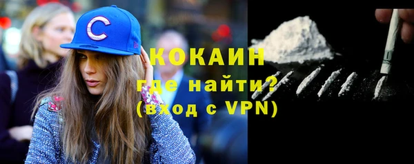 молекула духа Елизово