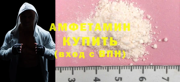 PSILOCYBIN Ельня