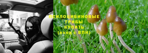 кристаллы Дмитров